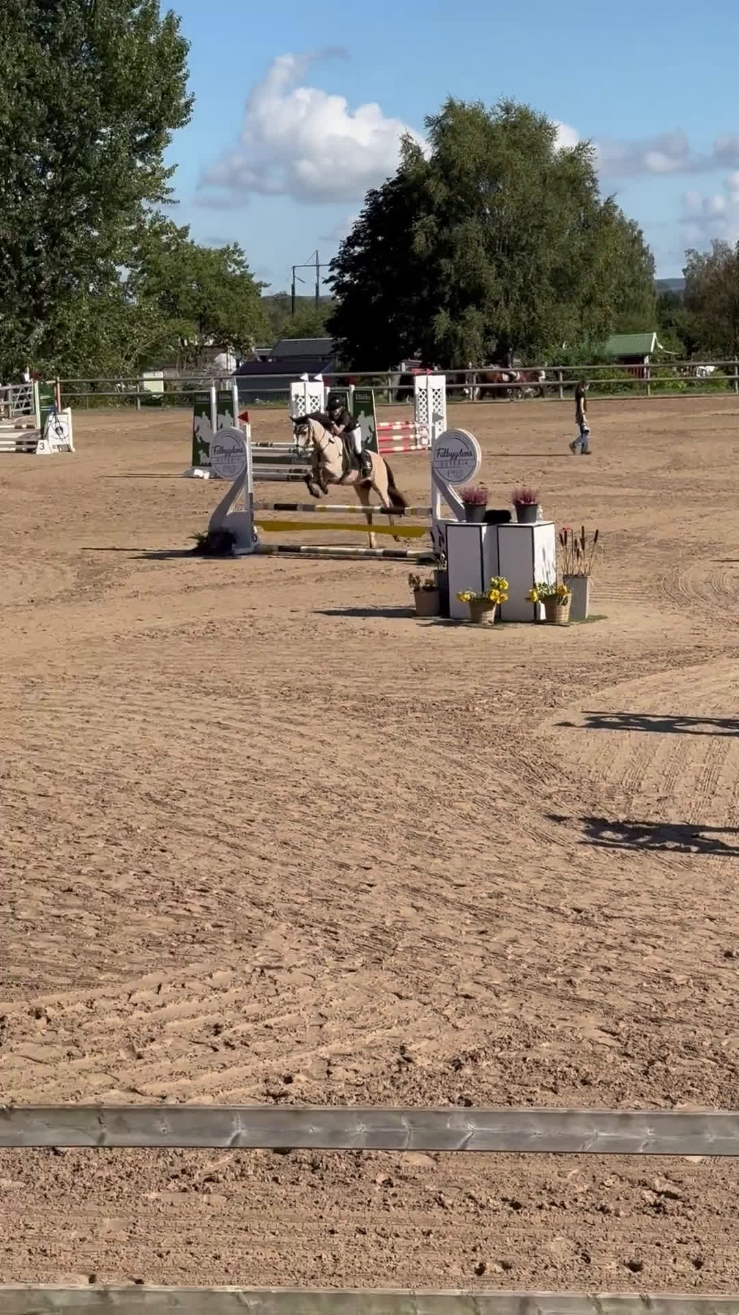 Allround hästar till salu: Superfin B-ponny  i Broddetorp - Video 4