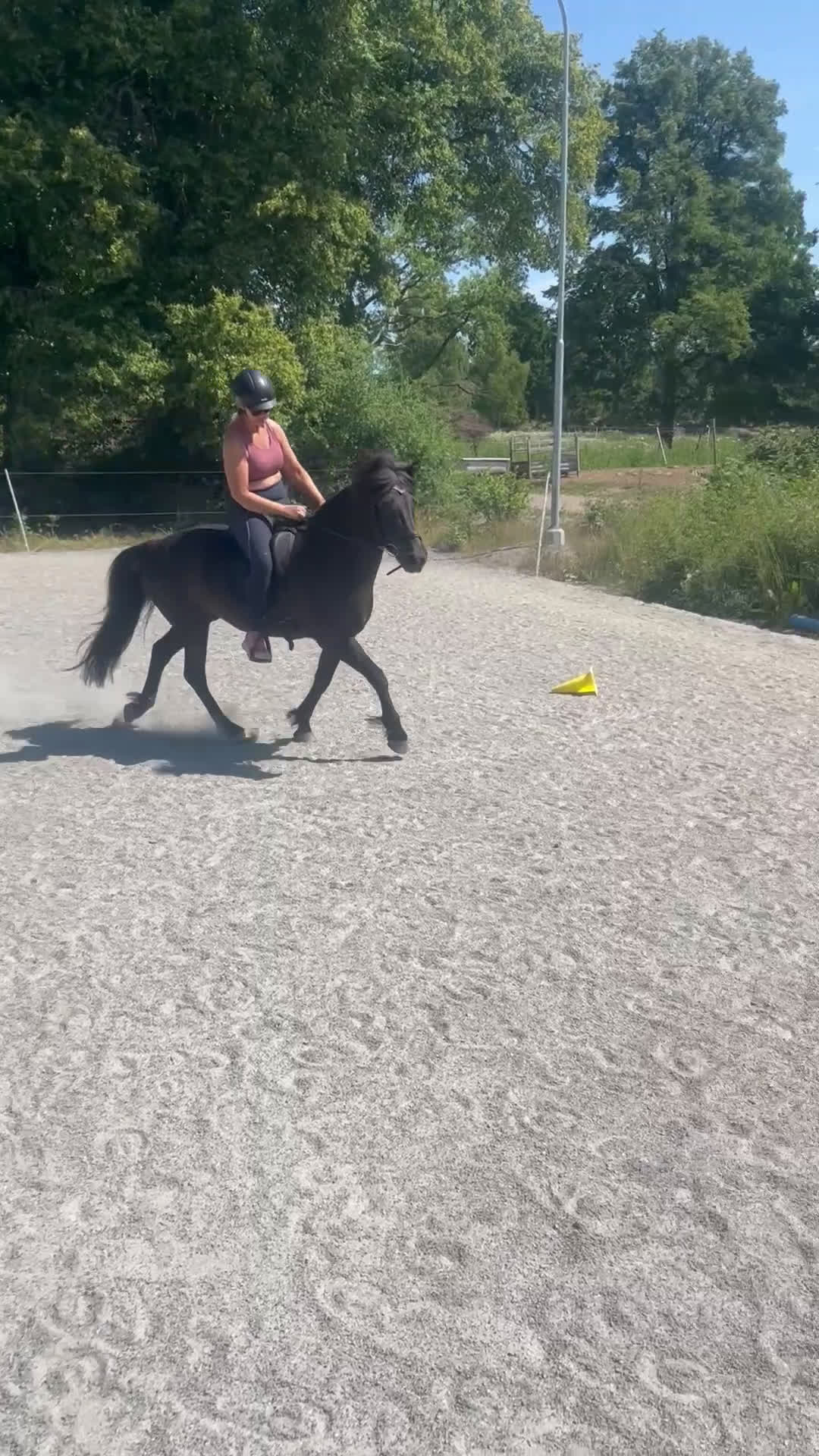 Island hästar till salu: Fantastiskt sto, läromästare  i Torsås - Video 1