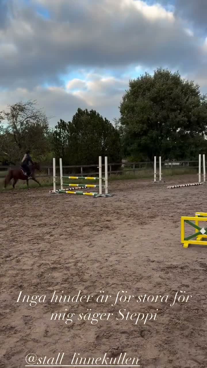 Hoppning hästar till salu: Linnekullens Quickstep – mod, tryck och kapacitet - Video 1