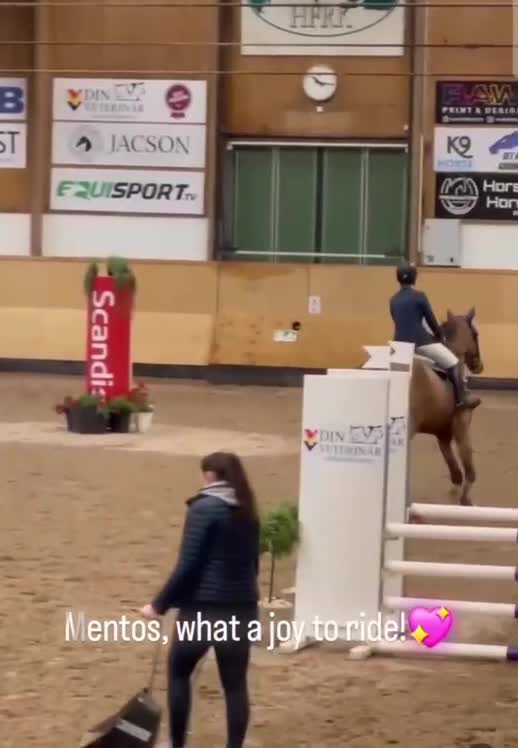 Hoppning hästar till salu: Välriden och trevlig valack  - Video 1