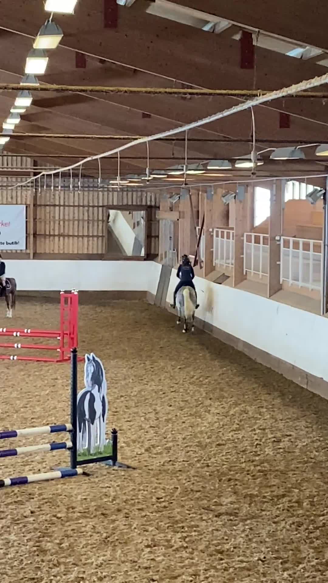  medryttarhäst sökes: Medryttarhäst sökes (Stockholm/Västerhaninge) - Video 2
