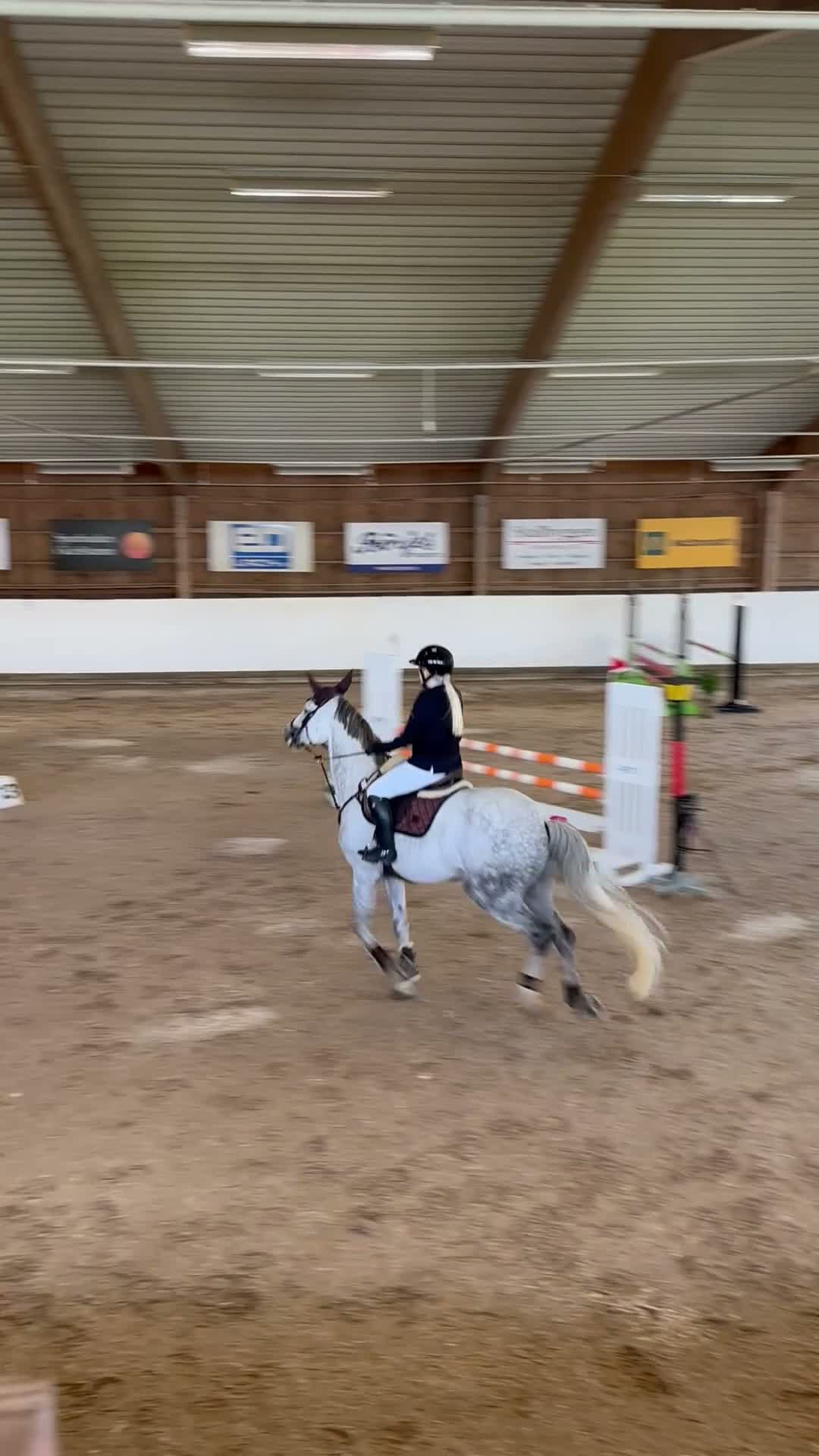 Hoppning hästar till salu: Tävlingskompis och bästa vän❤️ i Karlshamn - Video 2