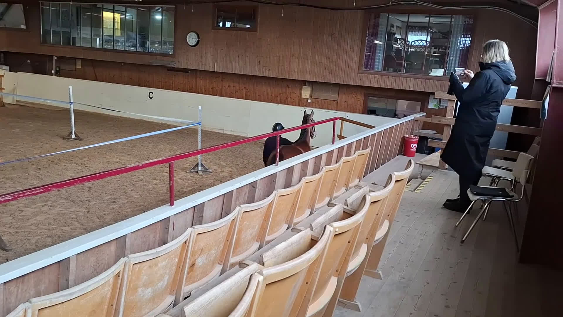 Hoppning hästar till salu: Sto för den lite mindre ryttaren! - Video 1