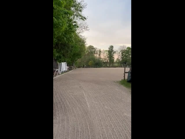  stallplats finnes: Boxplats - Video 1