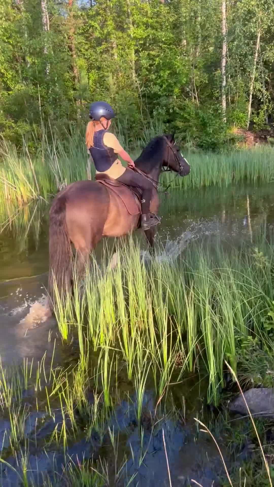 Allround hästar till salu: C-ponny valack född 2009 i Morgongåva - Video 5
