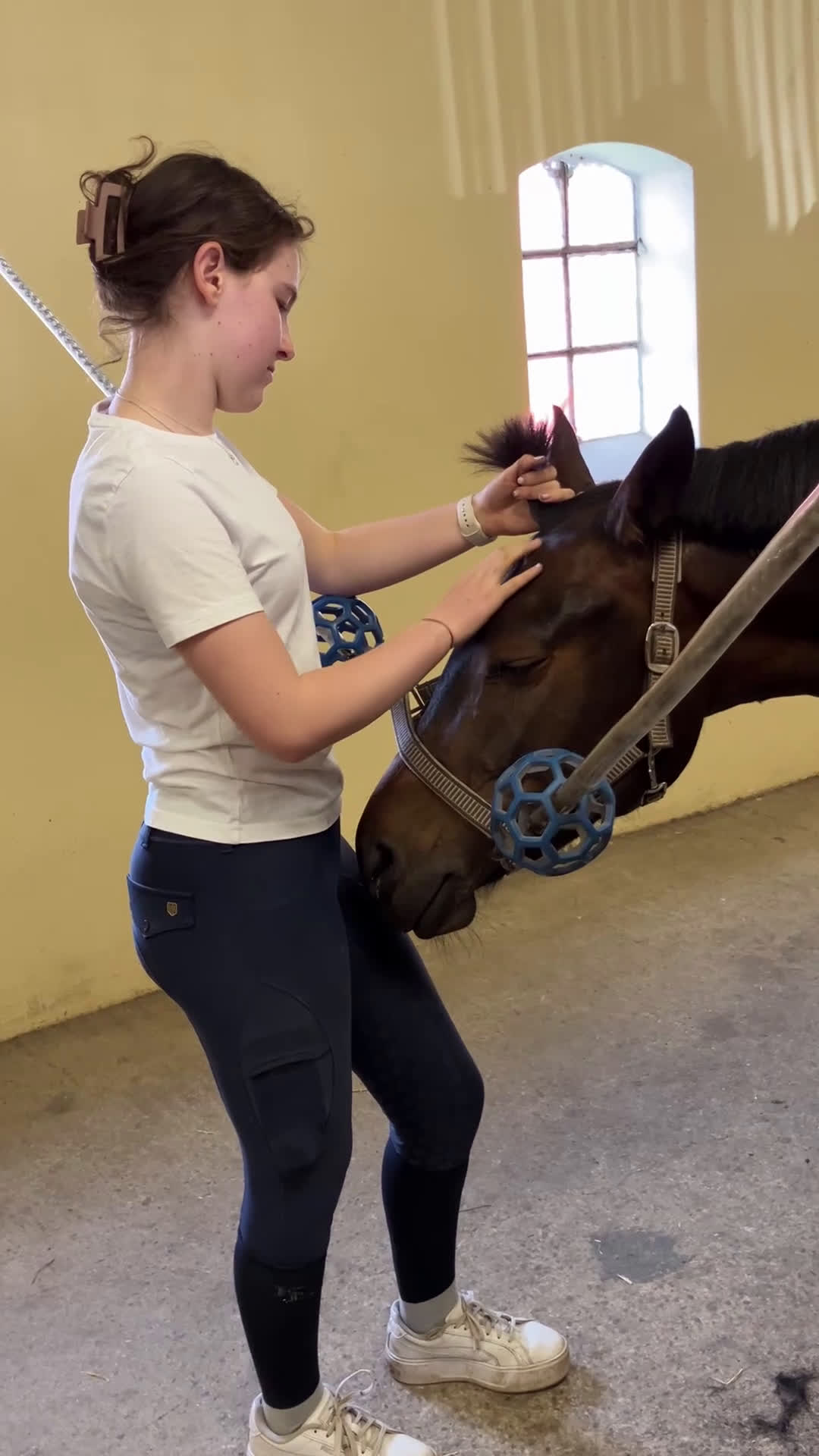 Dressyr hästar till salu: Pigg och glad ponny i Dösjebro - Video 5