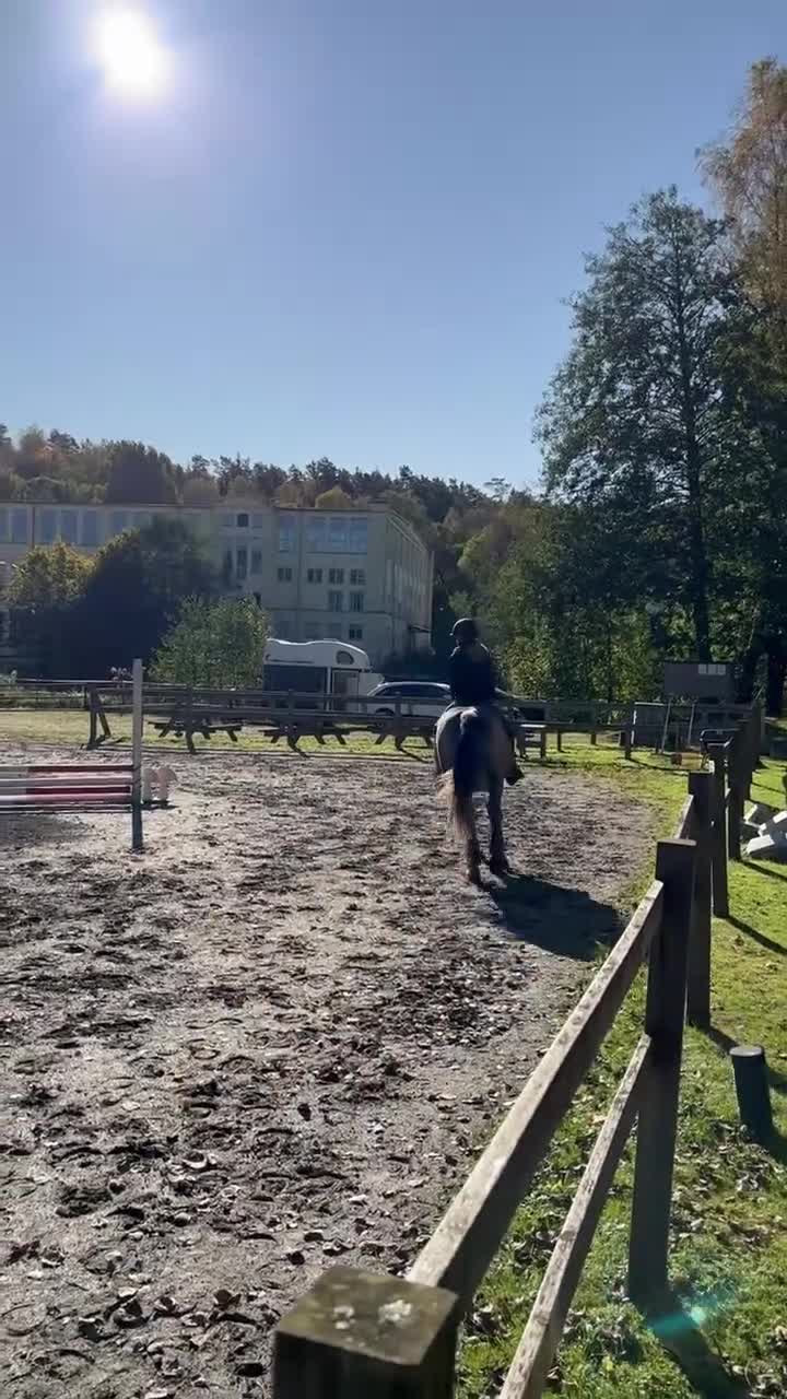 Allround hästar till salu: Totte  - Video 4