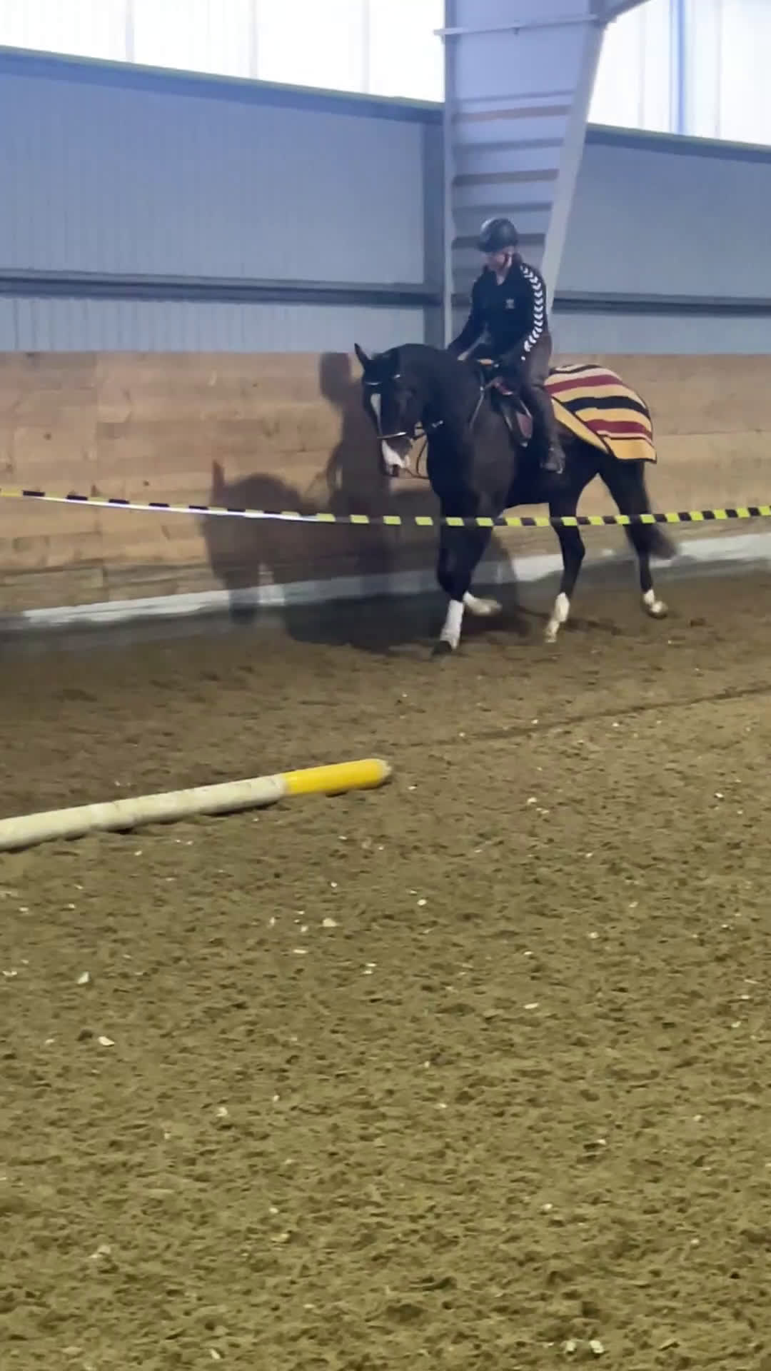 Fälttävlan hästar till salu: En otroligt snäll unghäst att forma själv! i Bälinge - Video 4