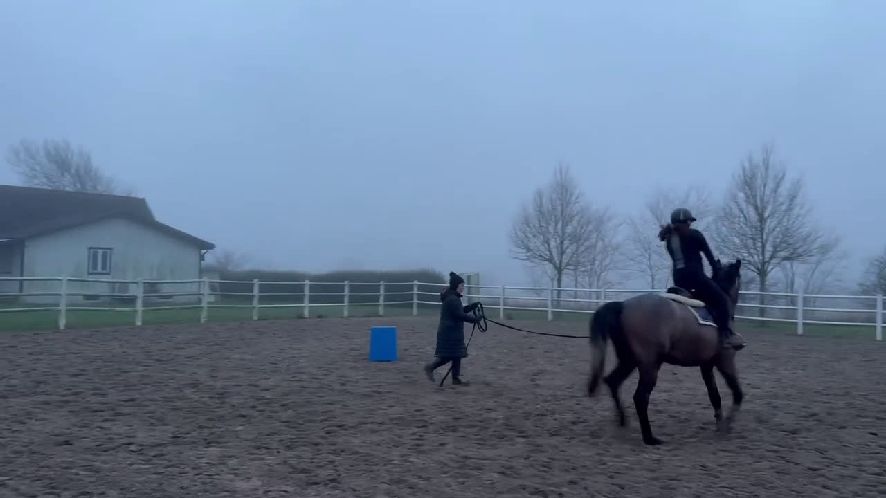 Allround hästar till salu: Vacker 3-åring✨ - Video 5