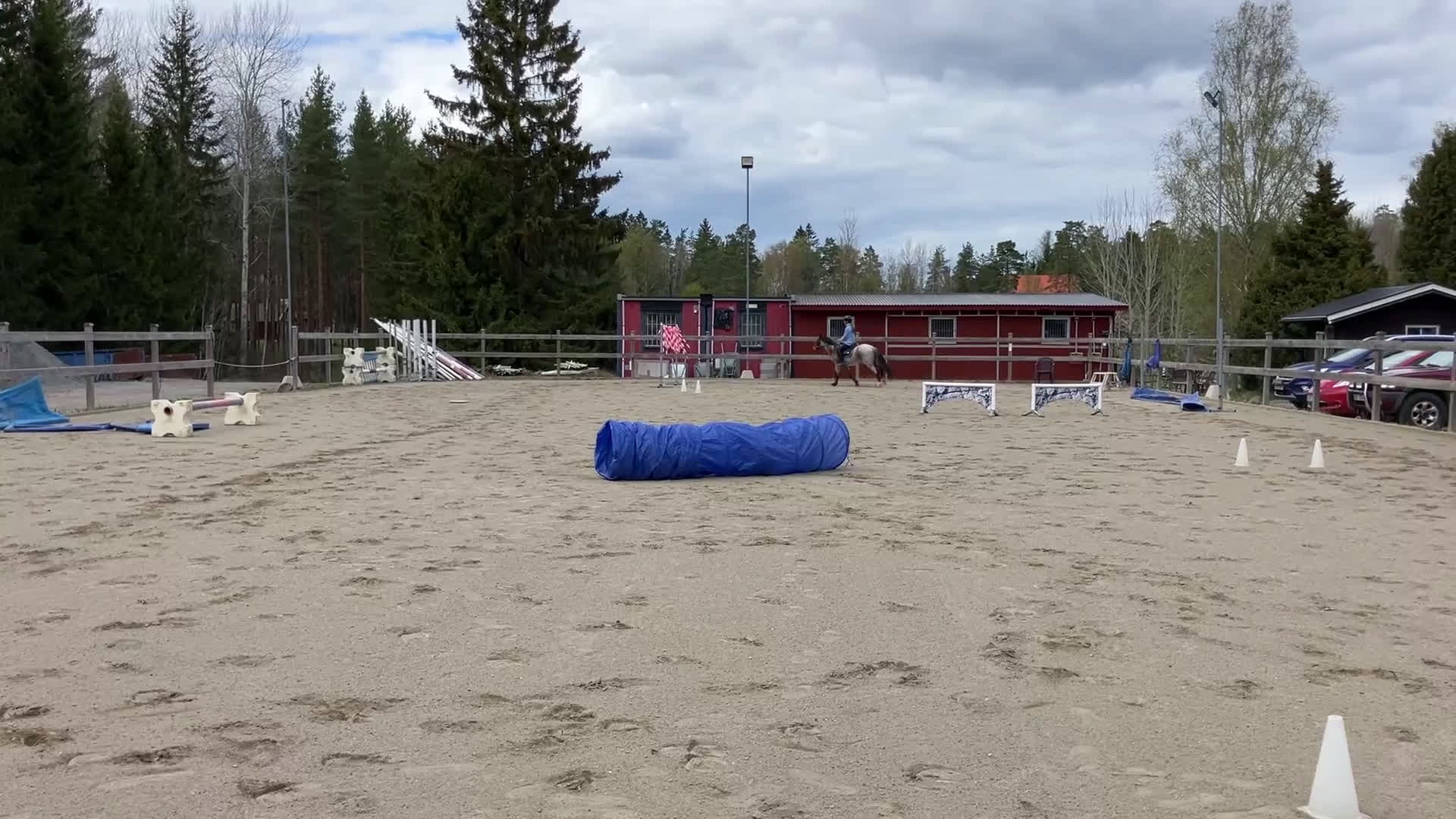 Allround hästar till salu: Trygg bästa vän! i Åkersberga - Video 2