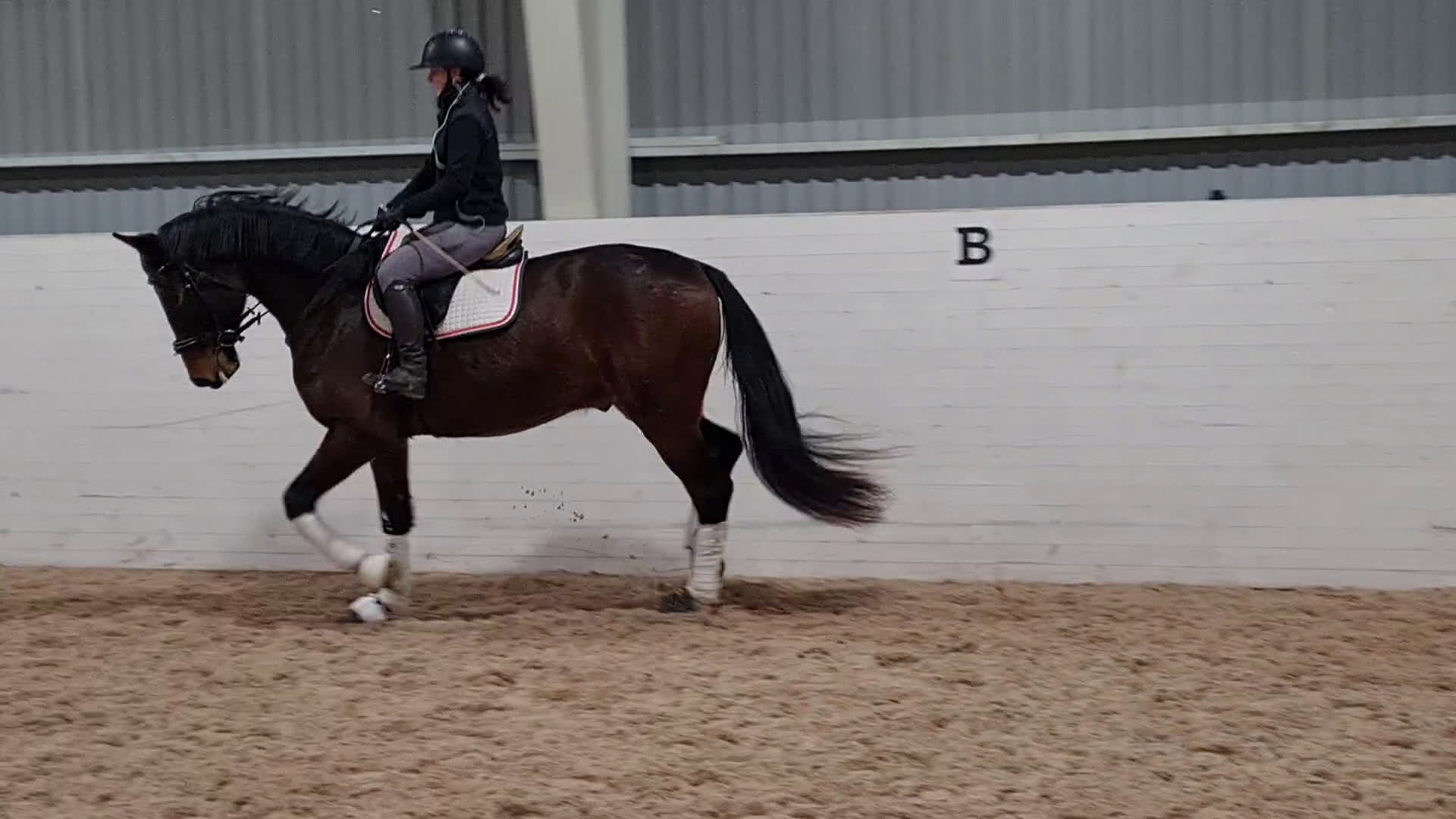 Dressyr hästar till salu: Trevlig valack  - Video 2