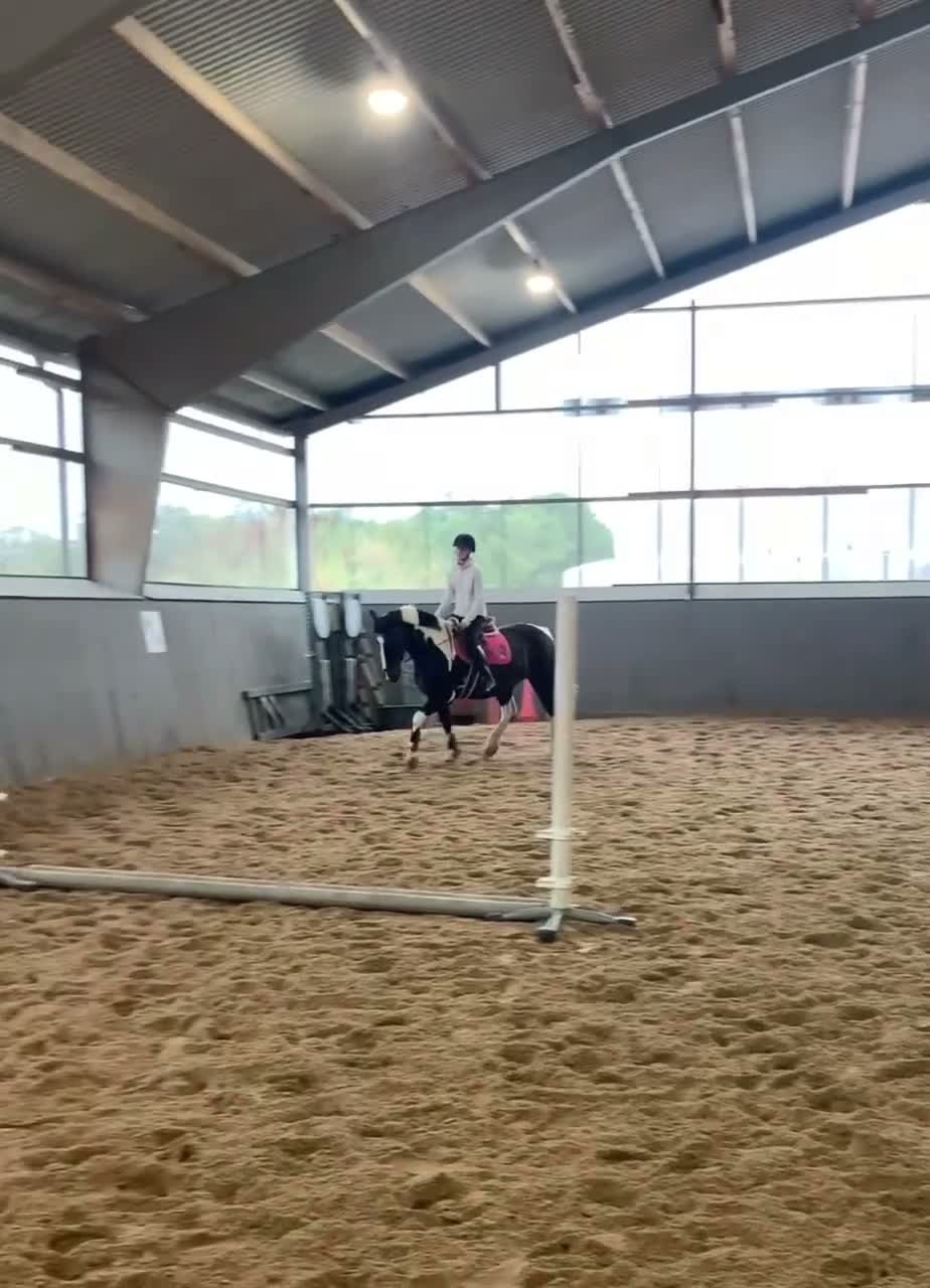 Allround hästar till salu: Charmigt sto söker nytt hem i Ytterby - Video 1