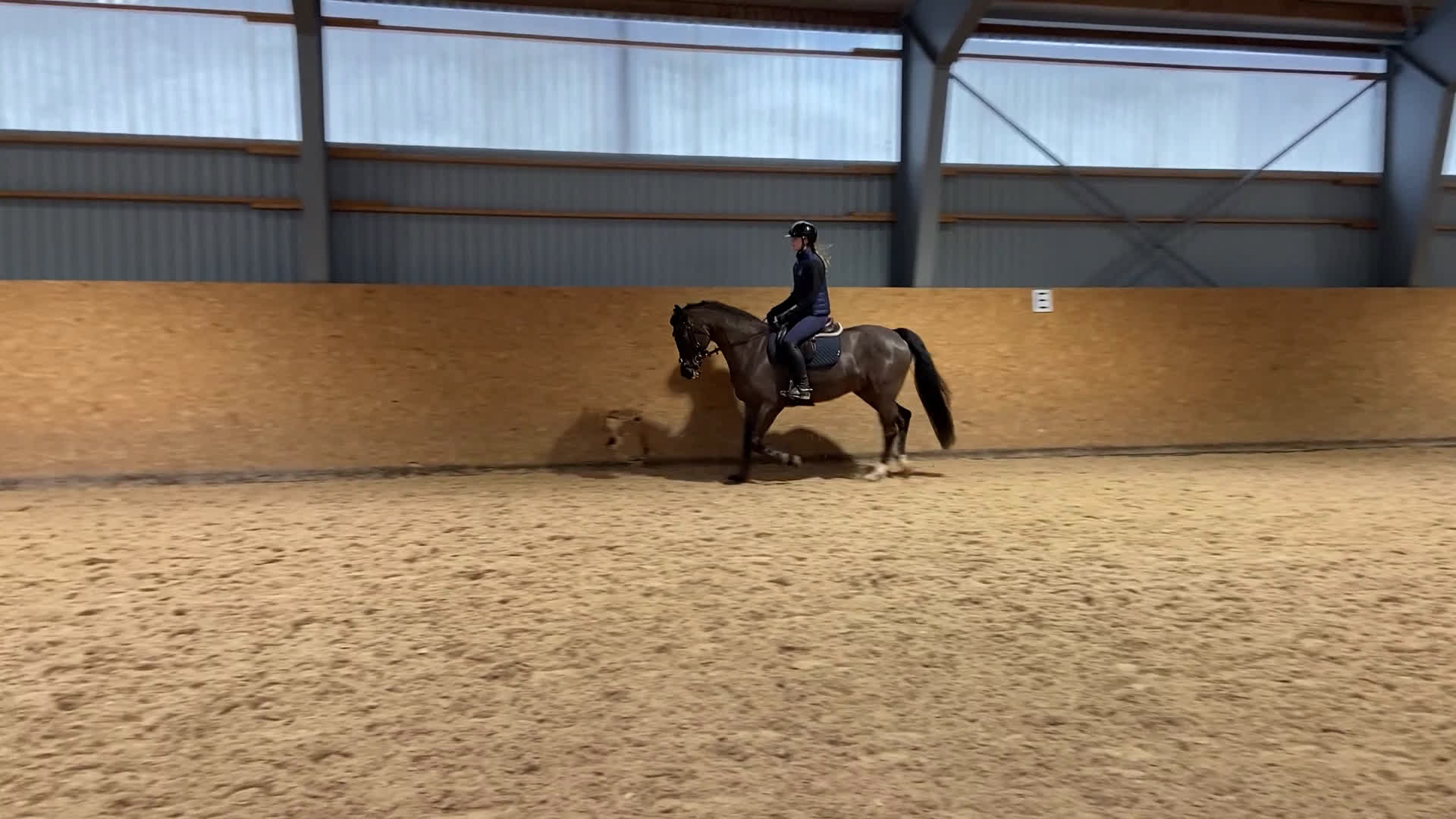 Allround hästar till salu: Trevlig Valack 6år - Video 1