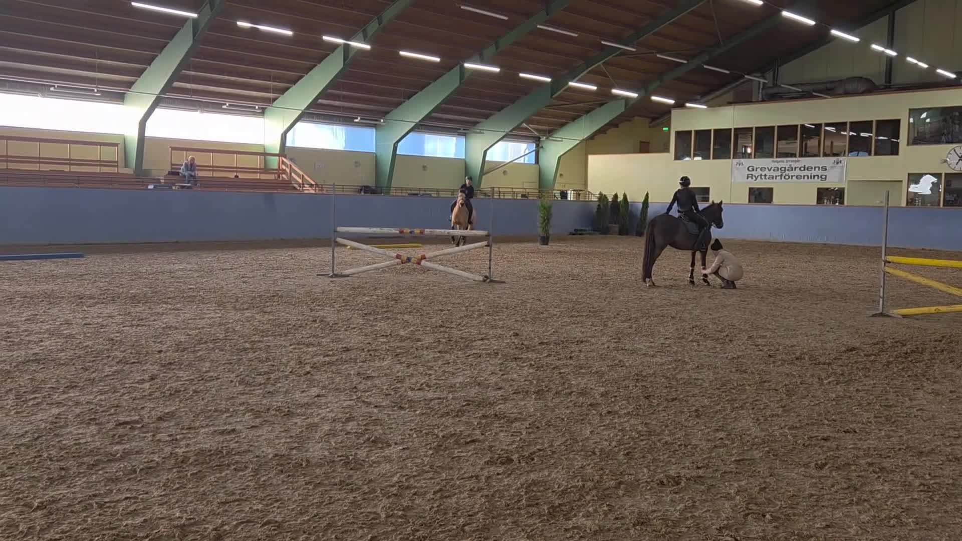 Allround hästar till salu: ⭐️Rutinerat d-ponnysto söker nytt hem⭐️ i Värsås - Video 1