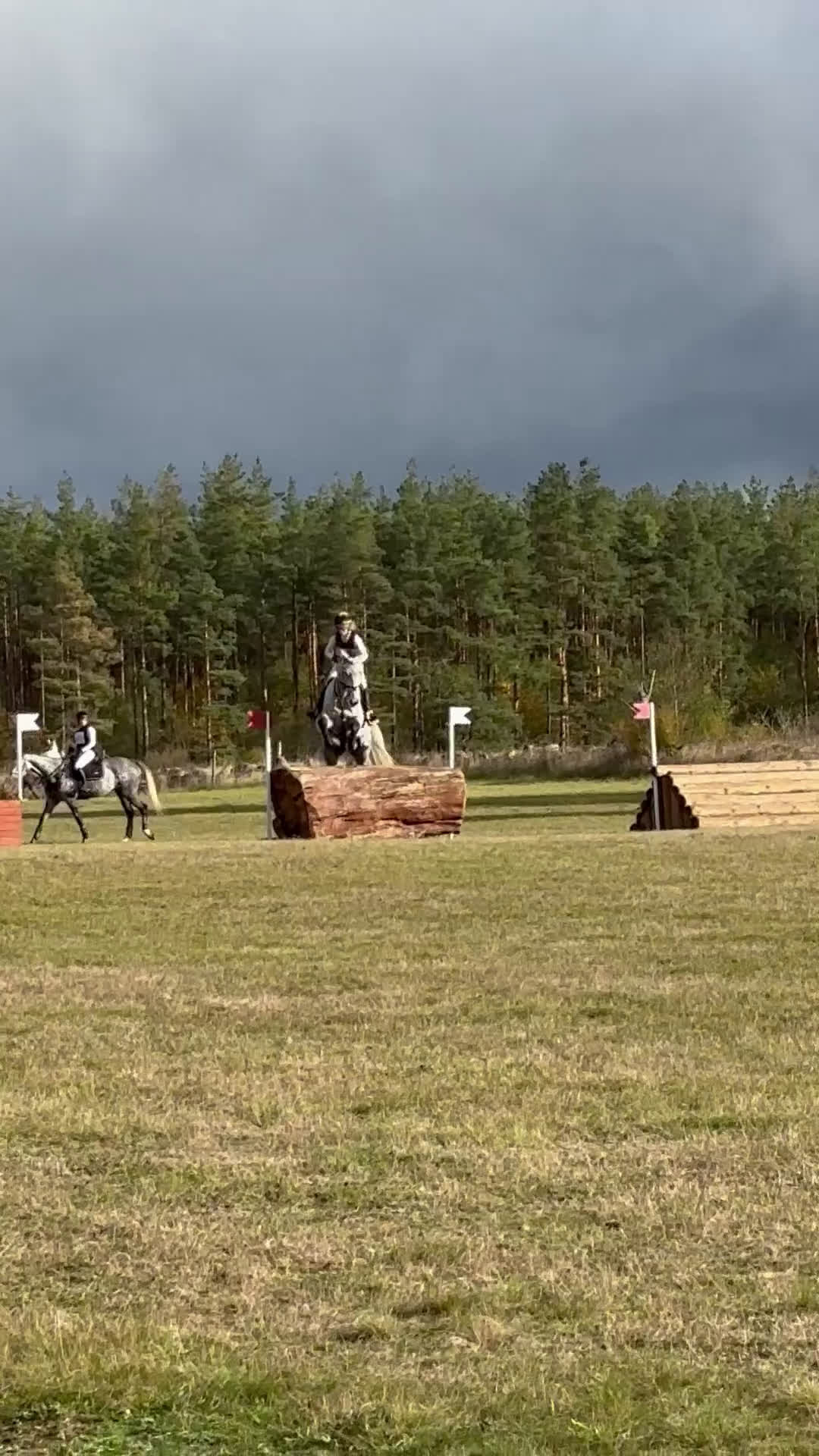 Fälttävlan hästar till salu: Fantastisk tävlingshäst  i Skara - Video 1