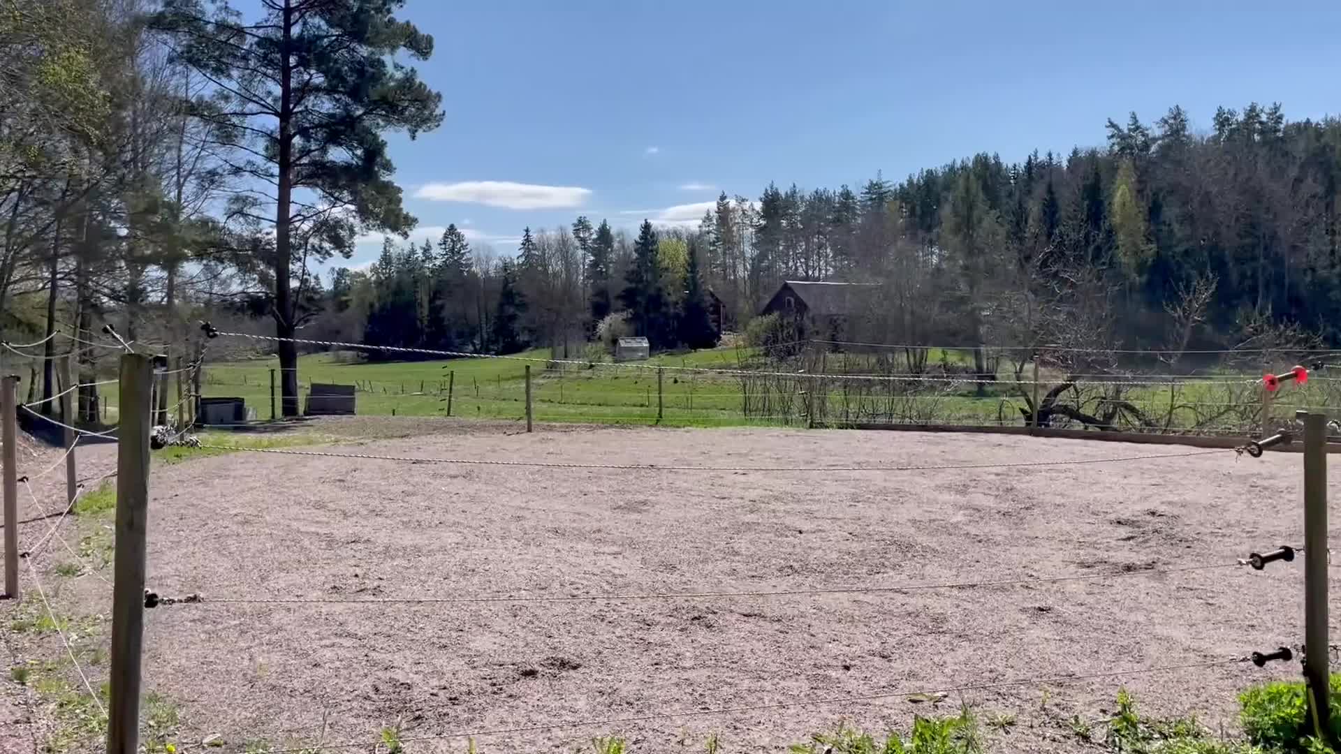  stallplats finnes: Ledig Stallplats  - Video 2