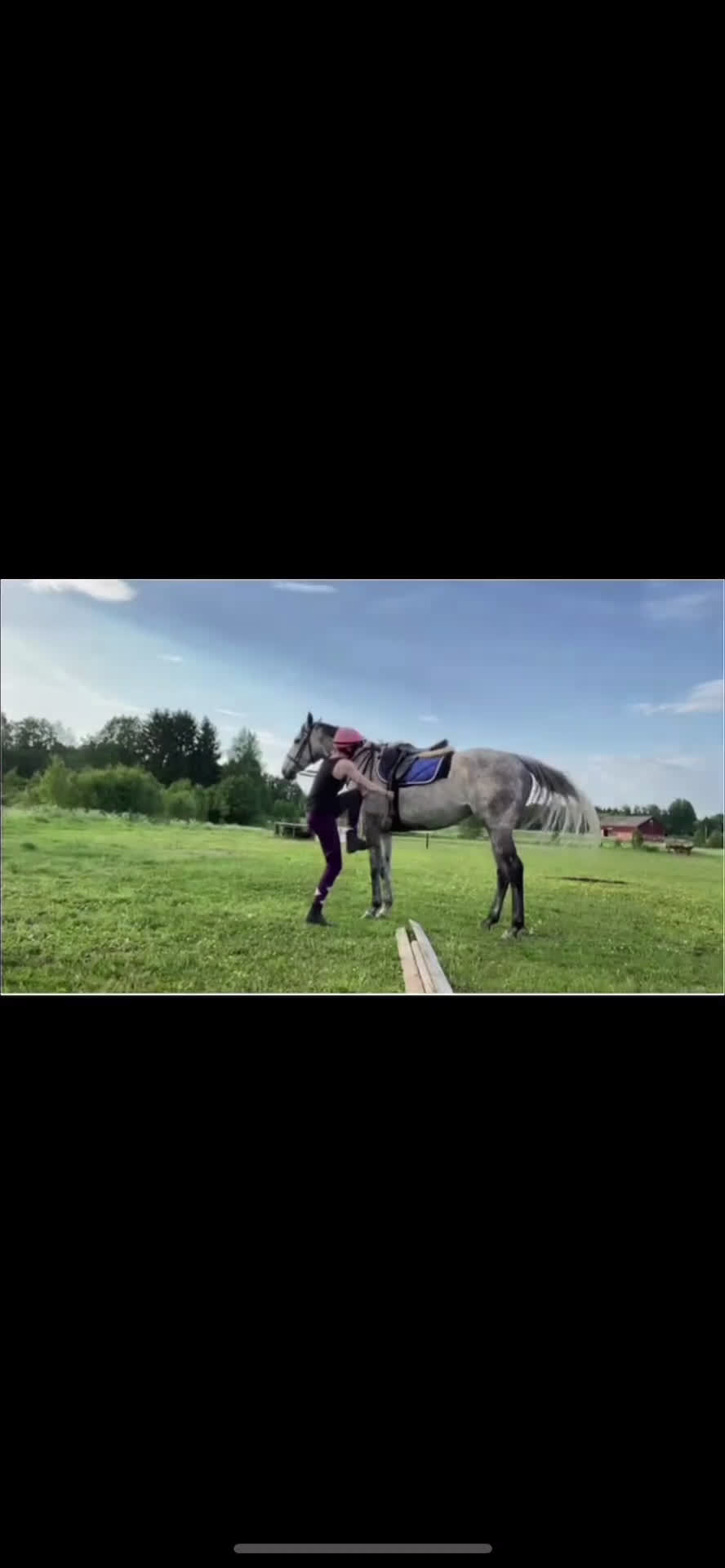 Allround hästar till salu: En hjärtehäst söker sin människa ✨ i Enköping - Video 1