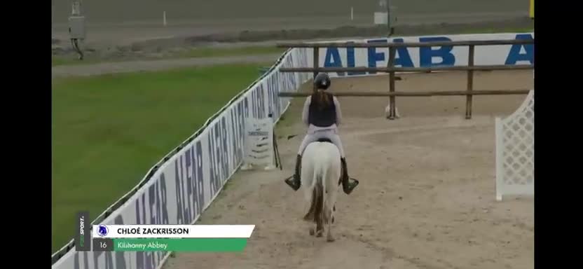 Hoppning hästar till salu: Snabb och vändbar C-ponny - Video 1