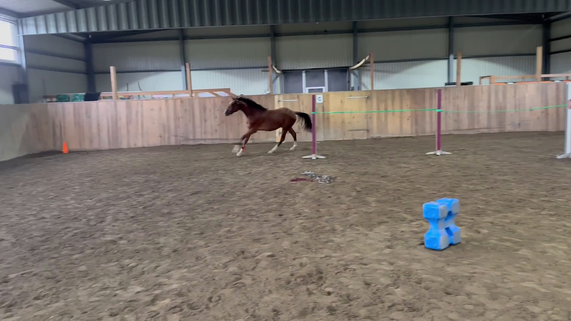 Hoppning hästar till salu: Lovande unghäst för framtiden! i Hällevadsholm - Video 1