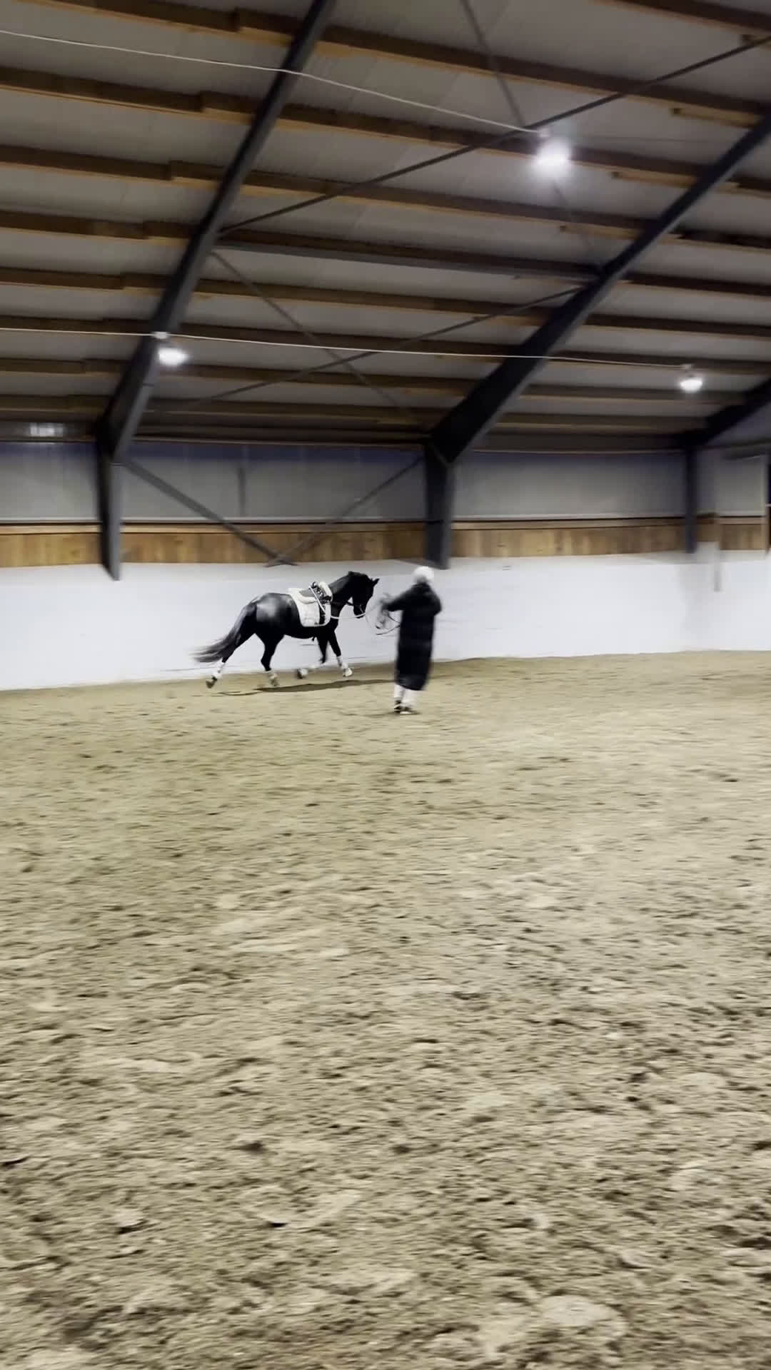 Dressyr hästar till salu: Se hit om du letar unghäst av hög kvalité  i Sparreholm - Video 1