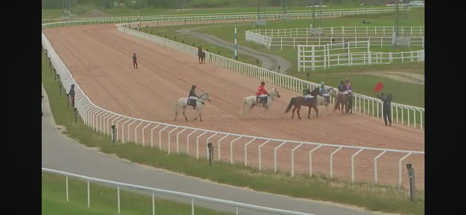 Allround hästar till salu: Förstaklass Connemara med fin stam - Video 4