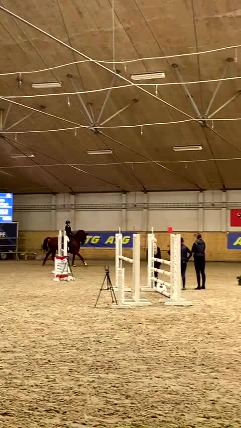 Allround hästar till salu: Tränings och tävlingskompis i Laholm - Video 2