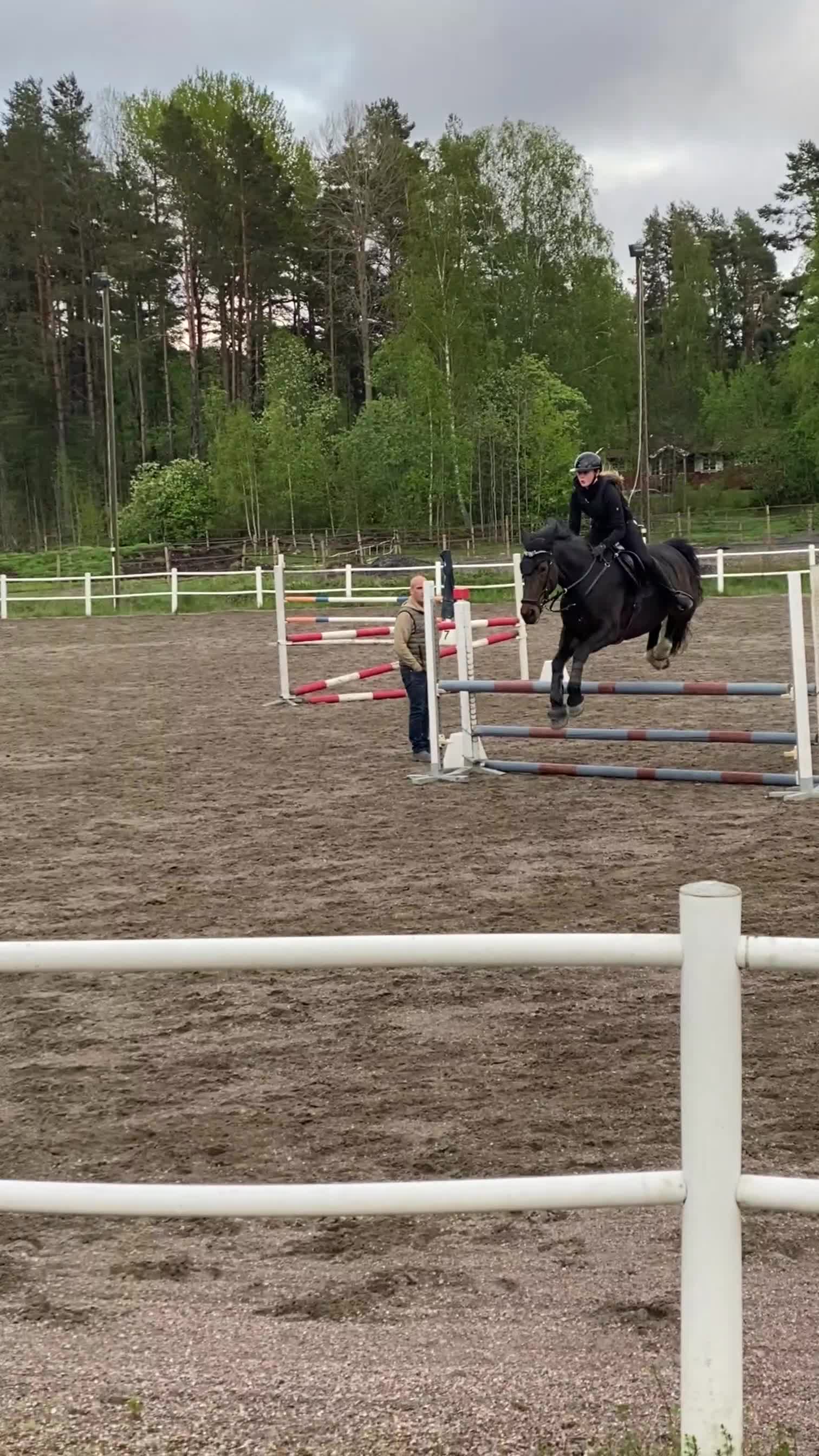 Allround hästar till salu: Jora - fantastisk sto för dig som vill utvecklas i Norrtälje - Video 1