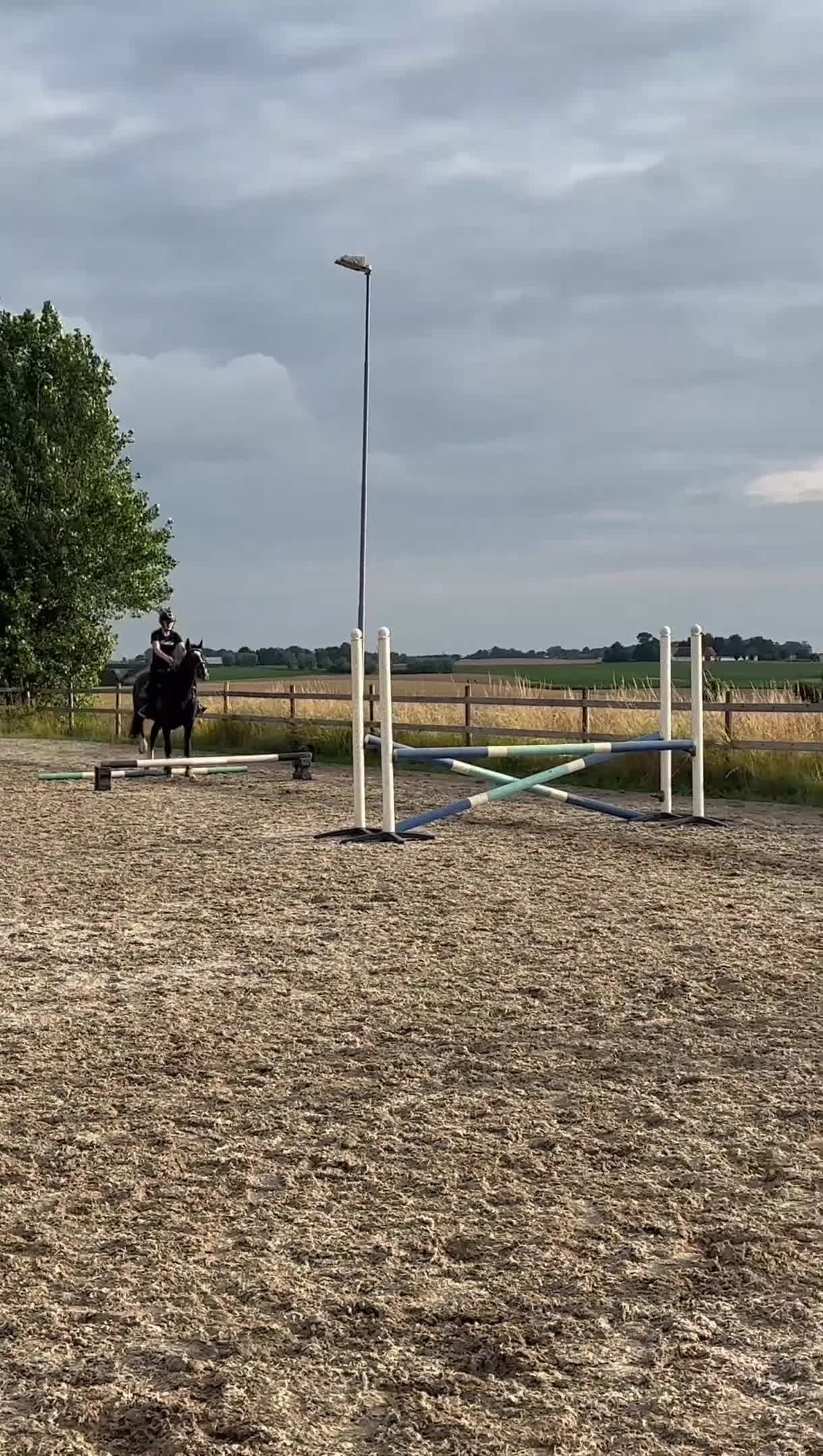  foderhäst finnes: Majsen söker Fodervärd! i Trelleborg - Video 1