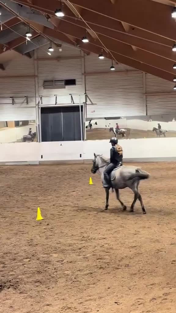  medryttarhäst sökes: Söker medryttarhäst i Vällingby - Video 4