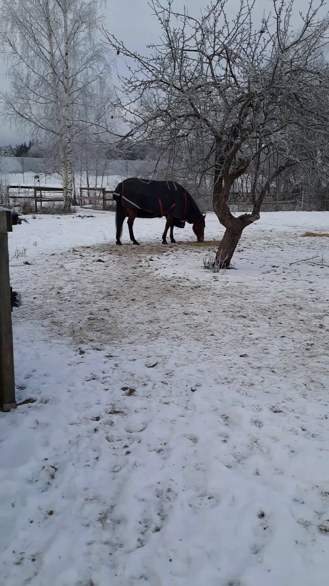  stallplats finnes: Stallplats Box ledig, Ekerö kommun, Skå - Video 3