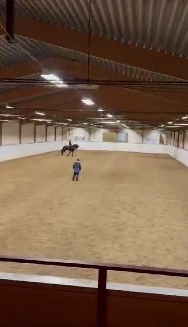 Dressyr hästar till salu: Frieser sto i Oxelösund - Video 2