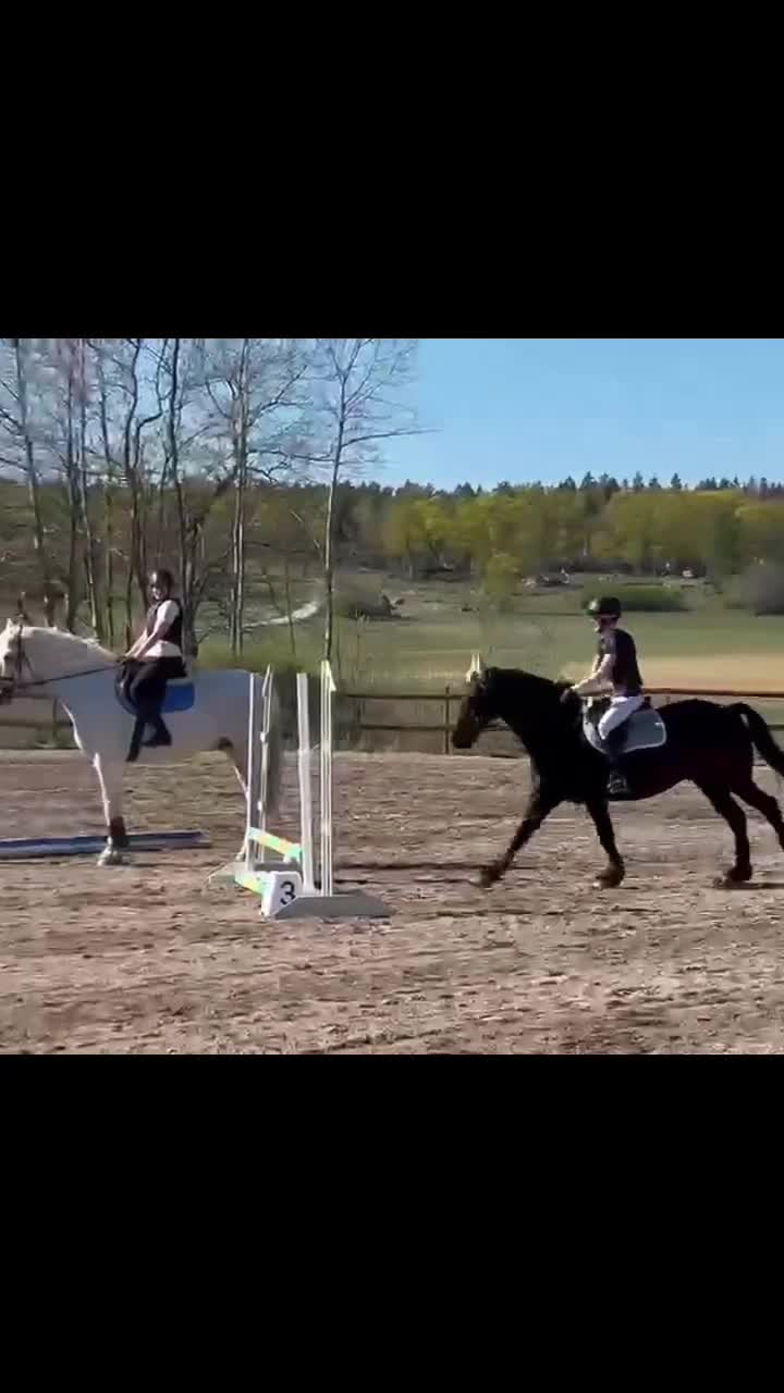 Allround hästar sökes: Söker medryttarhäst 🩷 i Mariefred - Video 2