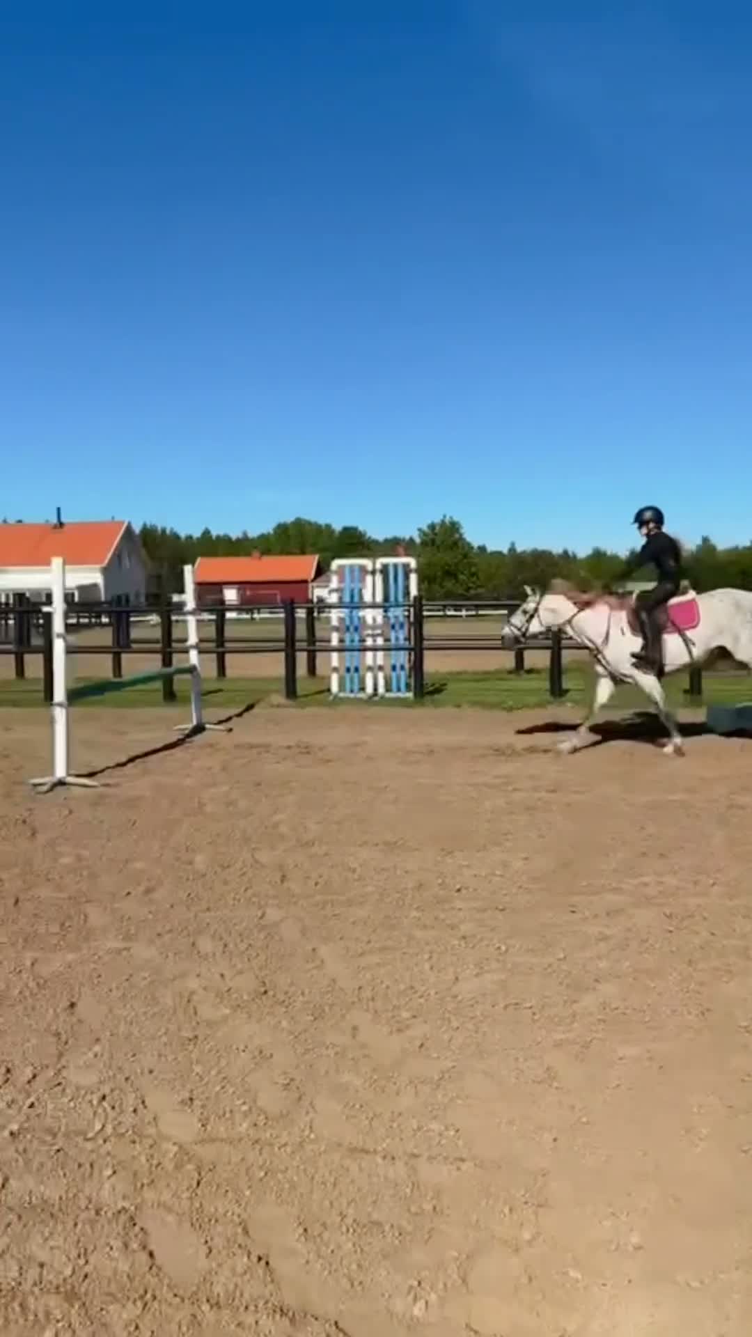 Allround hästar till salu: D-ponny⭐️ i Skara - Video 2