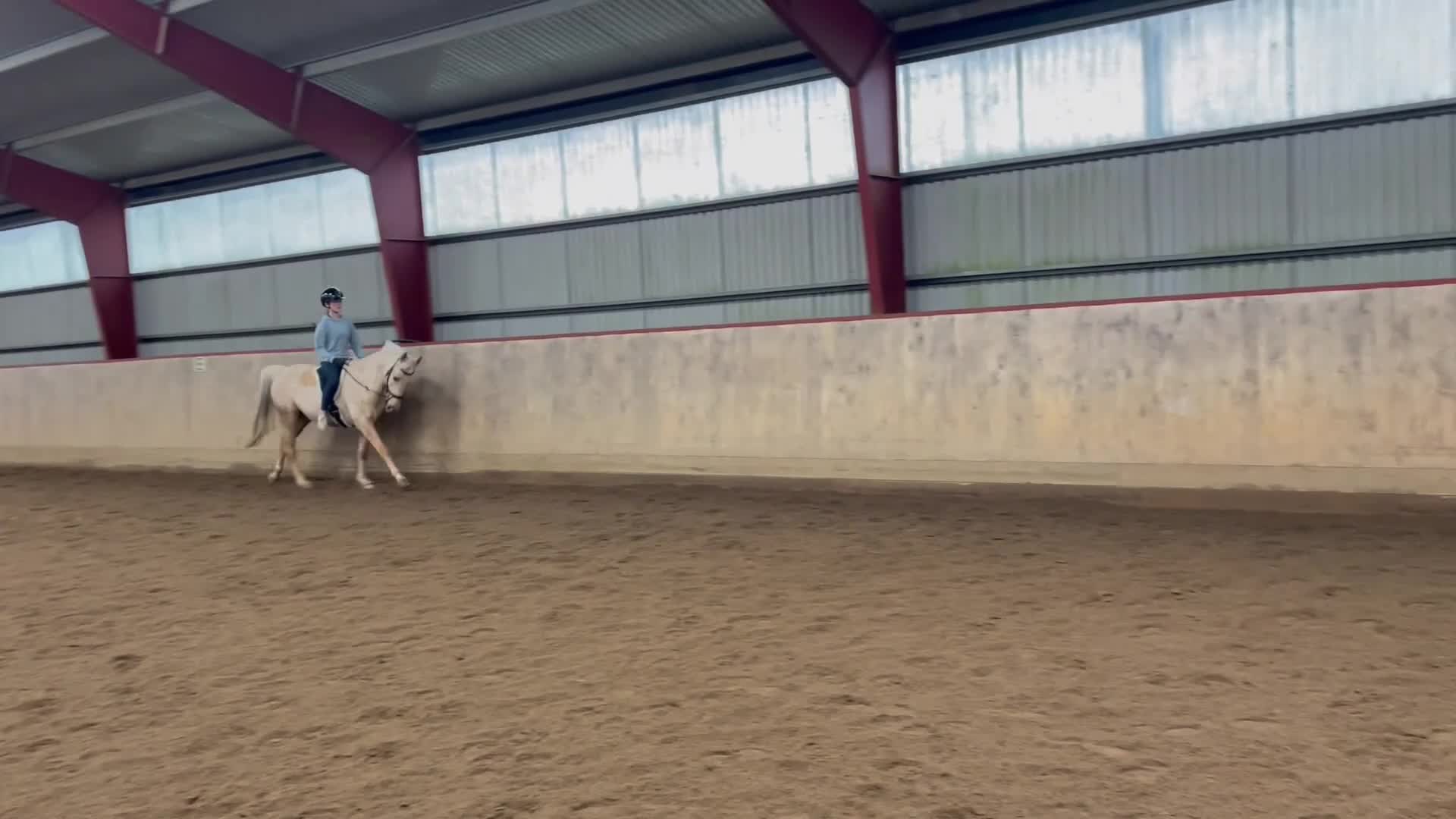 Allround hästar till salu: Vackert maxat D-ponnysto - Video 1