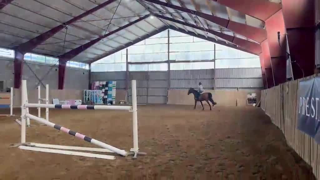 Hoppning hästar till salu: Tillfälle! 10-årig valack - Video 1