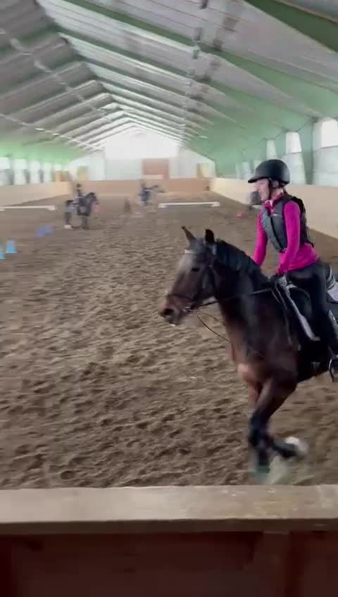 Allround hästar sökes: Söker medryttarhäst 🩷 i Mariefred - Video 1