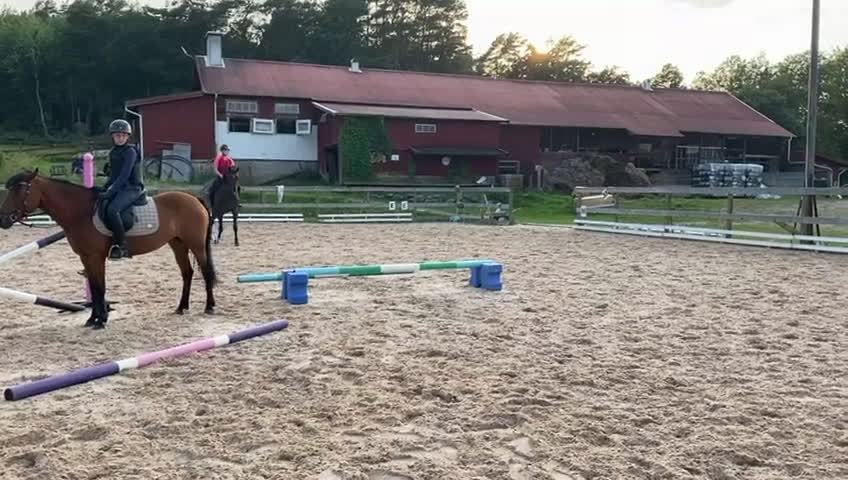 Allround hästar till salu: Läckert sto i Norrtälje - Video 1