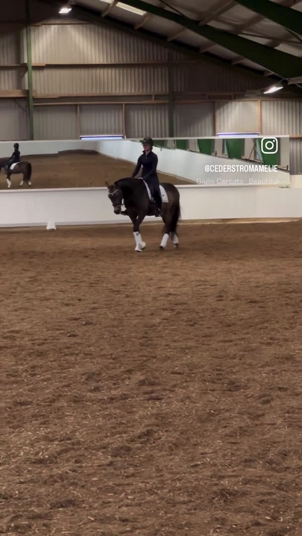 Dressyr hästar till salu: Topp FEI ponny i Nybrostrand - Video 2