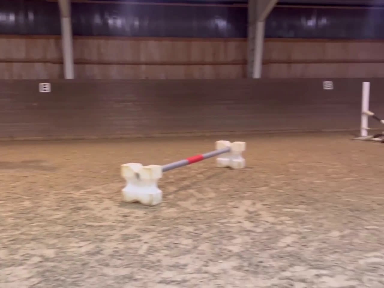 Hoppning hästar till salu: Super-maxad B-ponny med kvalitet och kapacitet - Video 1