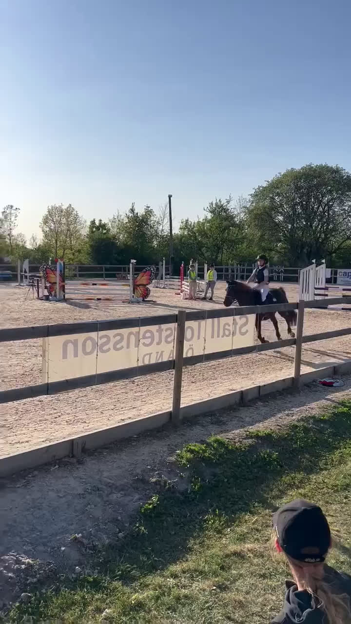 Hoppning hästar till salu: One in A million ponny🌟 i Färjestaden - Video 3