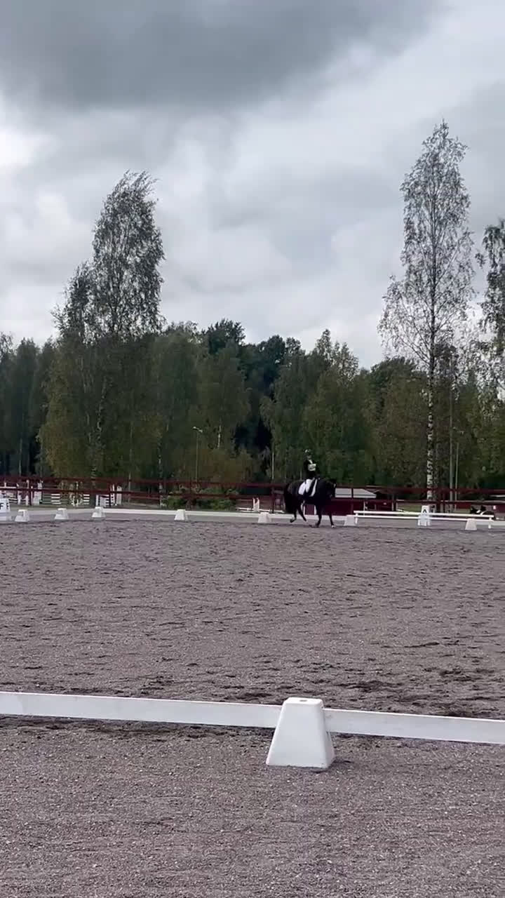 Hoppning hästar till salu: Mångsidig ponny med utstrålning!🌟 i Jörlanda - Video 5