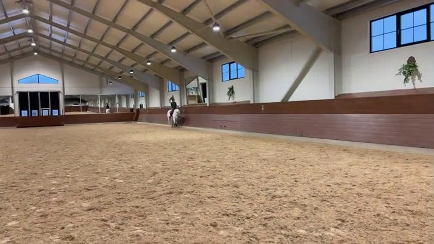 Allround hästar till salu: Charmig 6 åring med kapacitet  i Södra Sunderbyn - Video 1