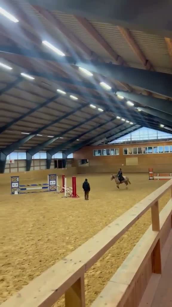 Allround hästar till salu: En ponny med SM kvalité  - Video 4