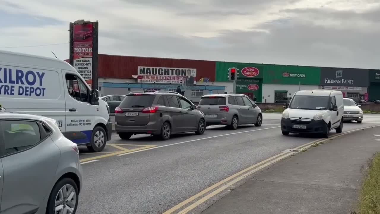 Allround hästar till salu: Trevligt sto för fortsatt utbildning  - Video 4