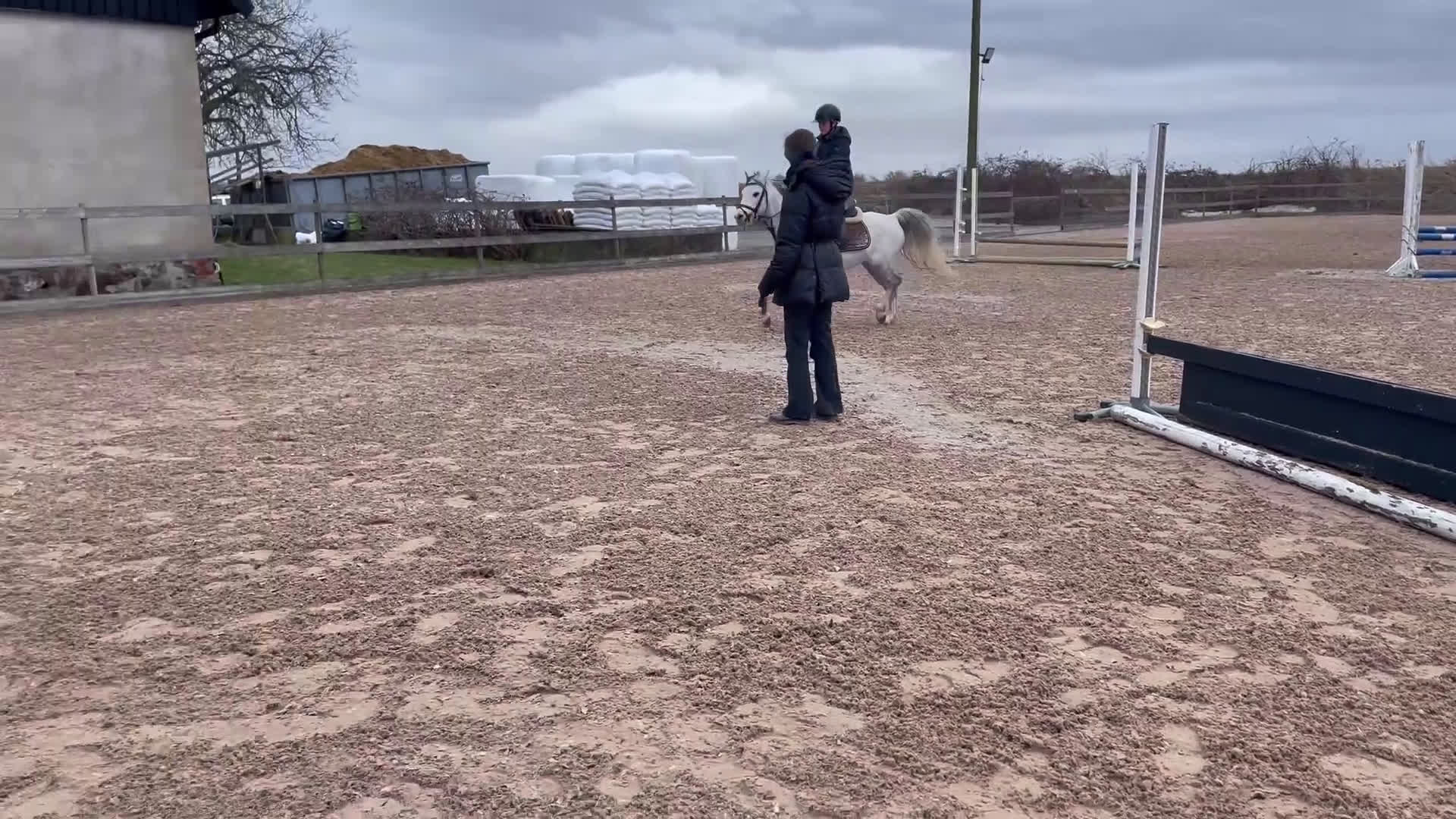 Hoppning hästar till salu: Drömprinsen🌟 - Video 1