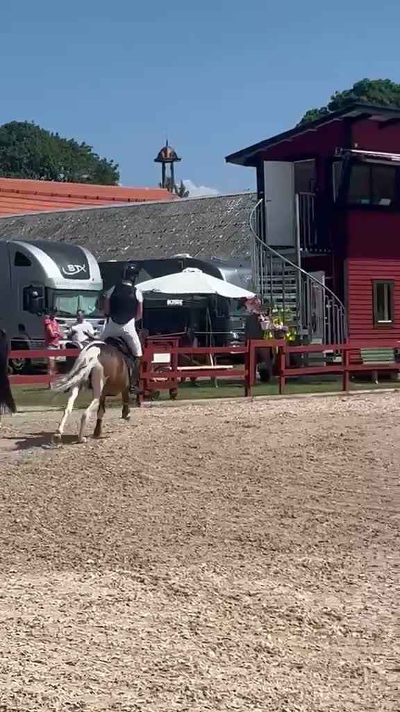 Hoppning hästar till salu: Supersnäll C ponny  - Video 1