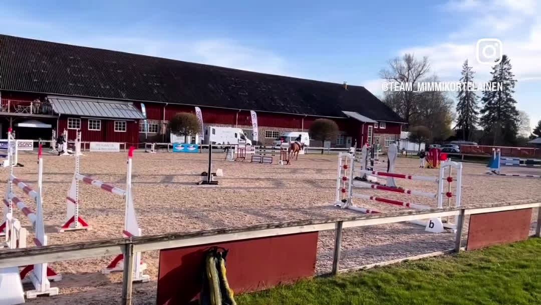 Hoppning hästar till salu: Vackert sto ✨ i Västerås - Video 3