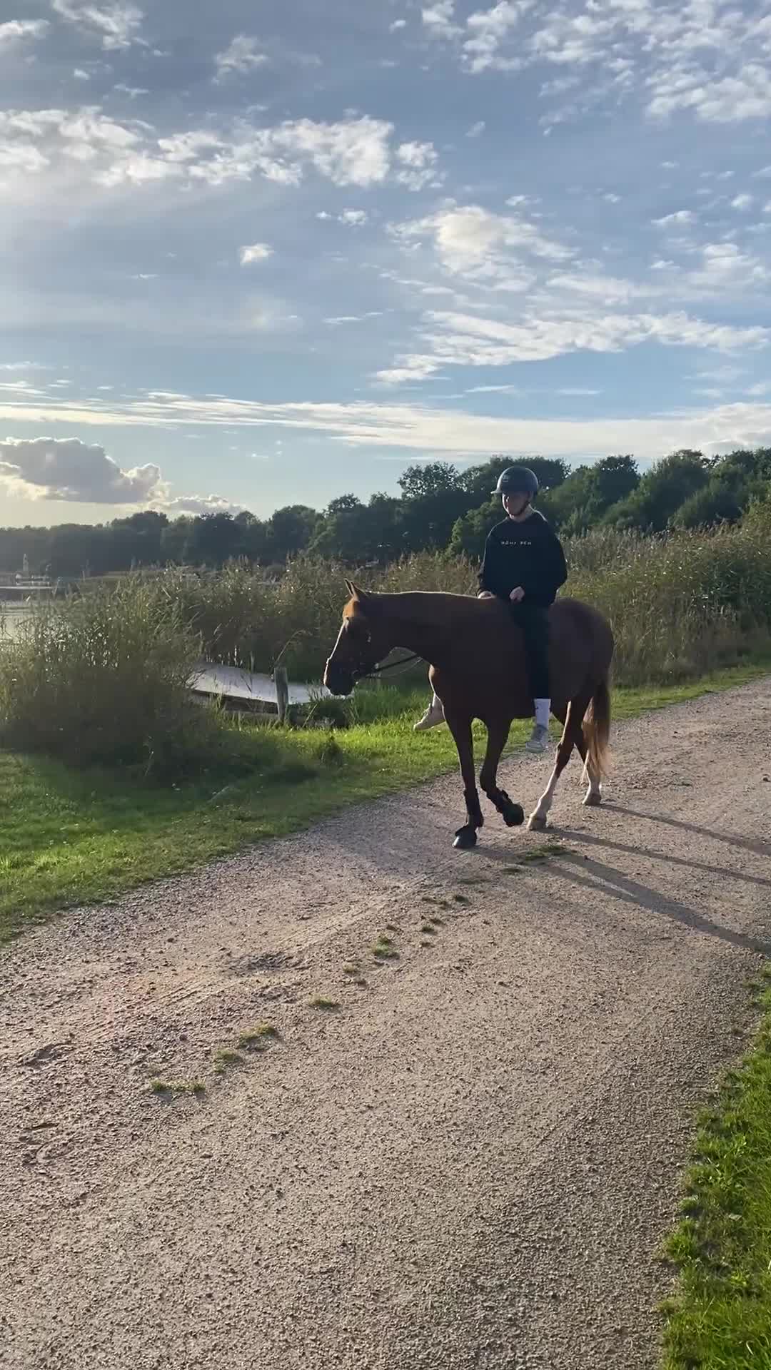 Allround hästar till salu: ⭐️Snäll C-ponny Allround⭐️ - Video 4