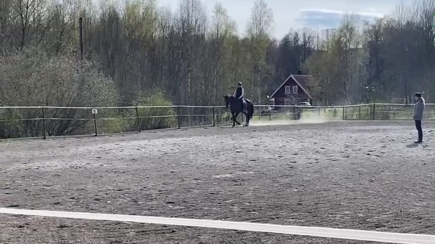  foderhäst sökes: Foderhäst (ev köp) sökes  i Vendelsö - Video 2