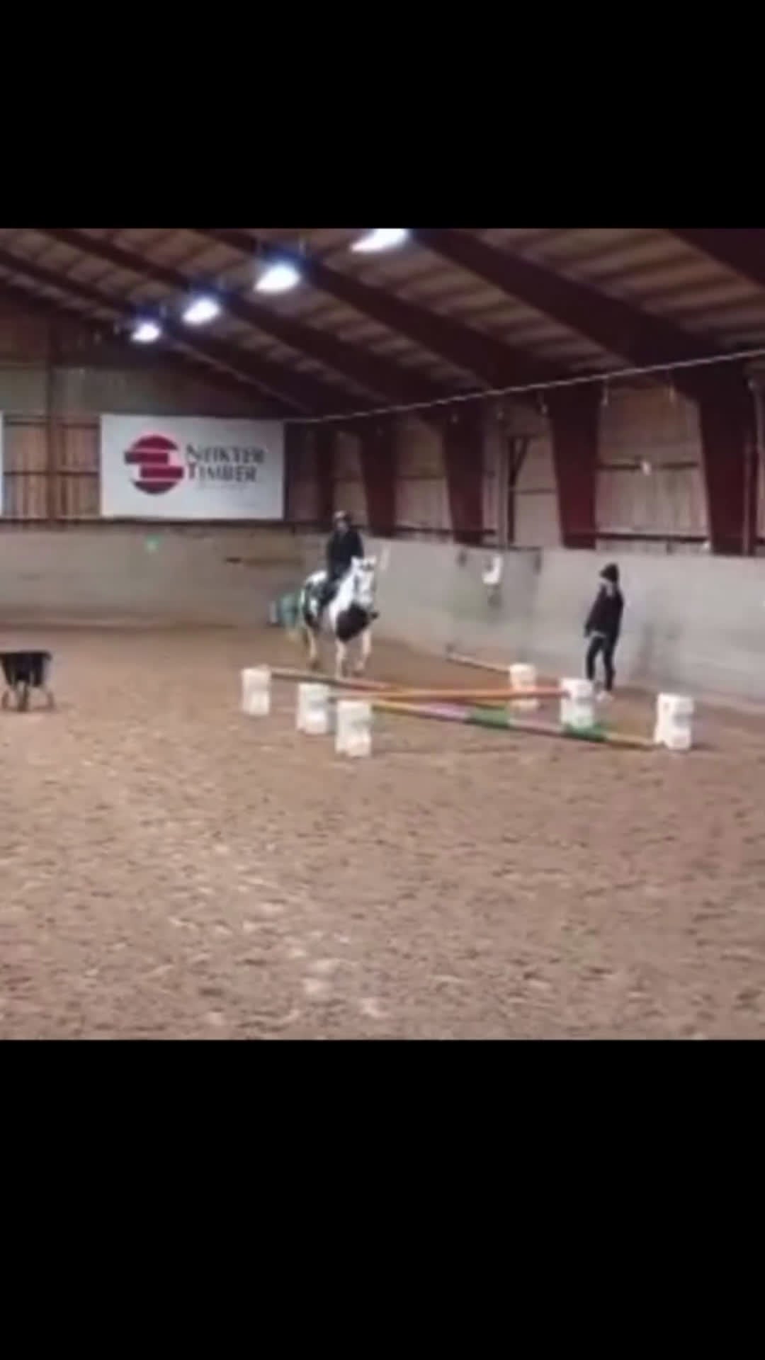 Allround hästar sökes: Söker foderhäst - Video 1